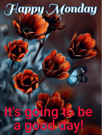 A Happy Monday Greeting Card With Flowers And A Butterfly GIF