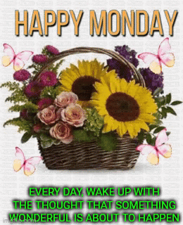 A Happy Monday Message With Flowers And Butterflies GIF