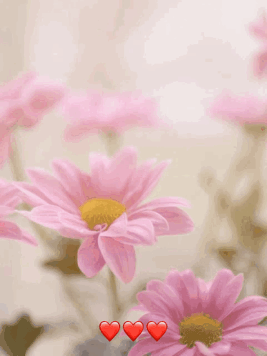 A Happy Mother 'S Day Card With Pink Flowers And Three Hearts GIF