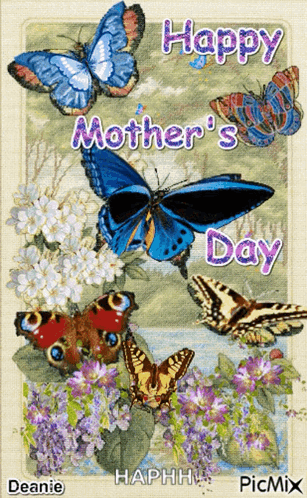 A Happy Mother 'S Day Greeting Card With Butterflies GIF