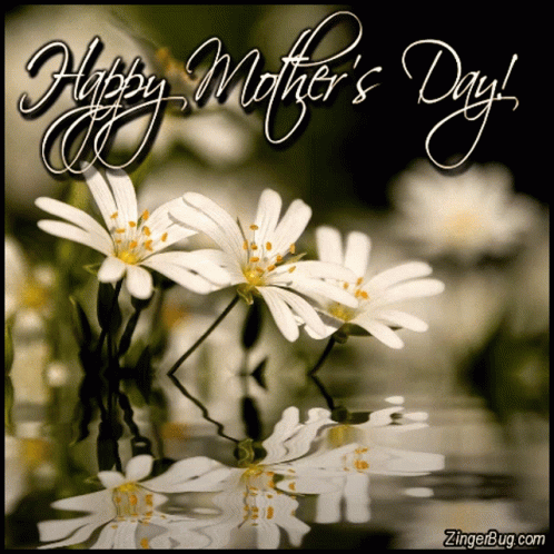 A Happy Mother 'S Day Greeting Card With Flowers GIF