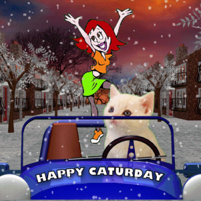 A Happy Saturday Greeting Card With A Woman And A Cat In A Car GIF