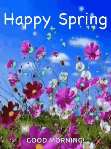 A Happy Spring Good Morning Greeting Card With Flowers In A Field . GIF