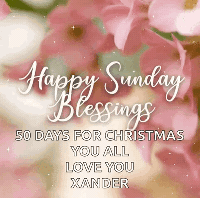 A Happy Sunday Blessings 50 Days For Christmas You All Love You Xander Greeting Card With Pink Flowers In The Background GIF