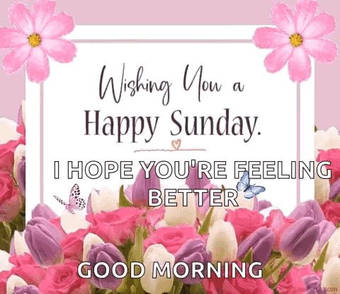 A Happy Sunday Card With Pink And White Flowers And Butterflies . GIF
