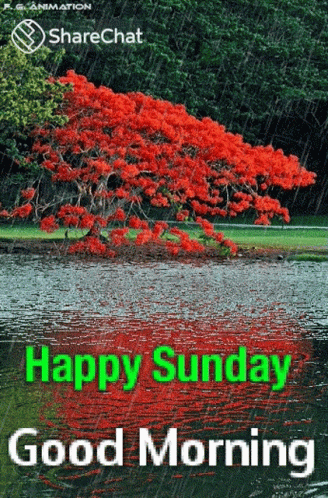 A Happy Sunday Good Morning Greeting Card With A Red Tree In The Background GIF