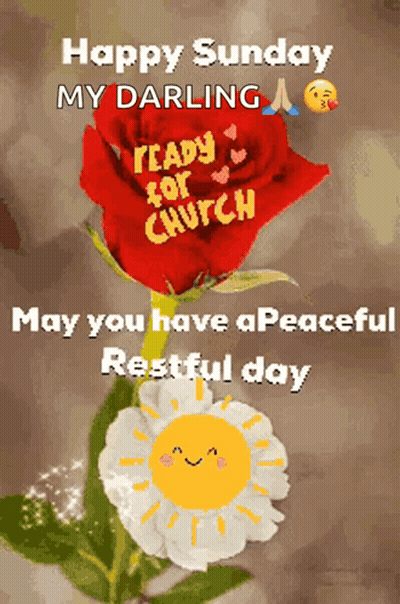 A Happy Sunday Message With A Red Rose And A White Flower GIF