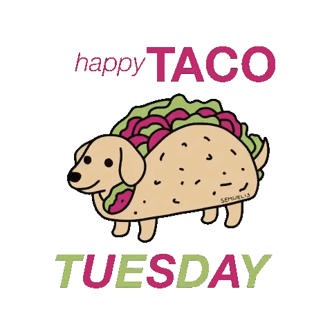 A Happy Taco Tuesday Greeting Card With A Dachshund In A Taco Sticker