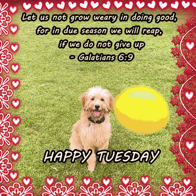 A Happy Tuesday Greeting Card With A Dog Holding A Yellow Ball GIF