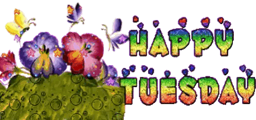 A Happy Tuesday Greeting With Flowers And Butterflies Sticker