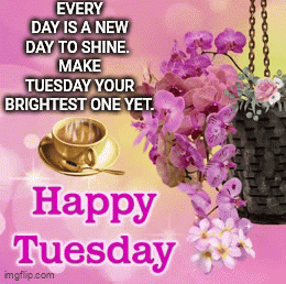 A Happy Tuesday Message With A Cup Of Coffee And Flowers GIF