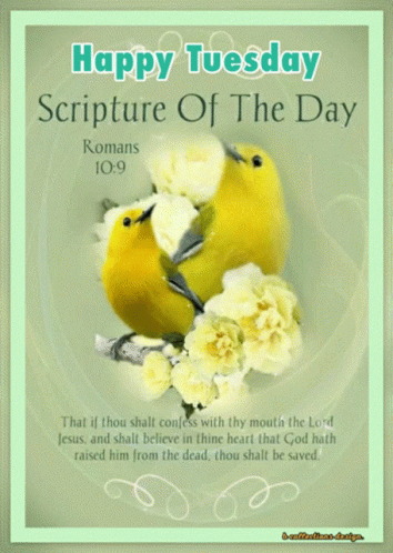 A Happy Tuesday Scripture Of The Day From Romans GIF