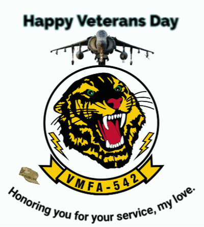 A Happy Veterans Day Poster With A Tiger And An Airplane GIF