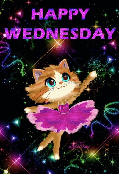 A Happy Wednesday Card With A Cat Wearing A Purple Tutu GIF