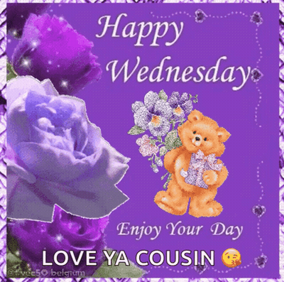 A Happy Wednesday Card With Purple Roses And A Teddy Bear Holding A Bouquet Of Flowers GIF