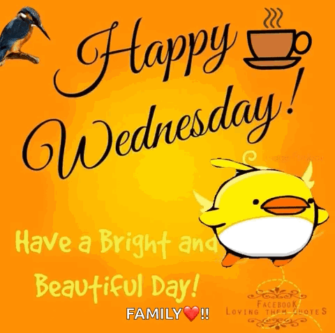 A Happy Wednesday Greeting Card With A Yellow Duck And A Cup Of Coffee GIF