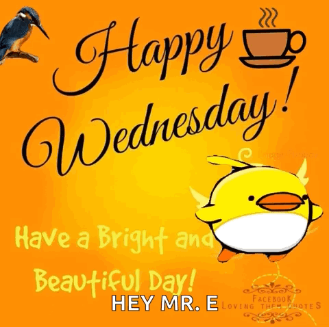A Happy Wednesday Message With A Yellow Duck GIF