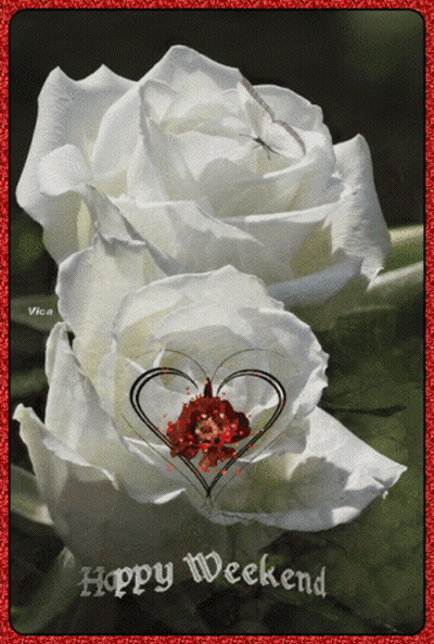 A Happy Weekend Card With Two White Roses And A Heart In The Middle GIF