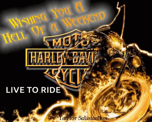 A Harley Davidson Motorcycle Is Surrounded By Flames On A Black Background GIF