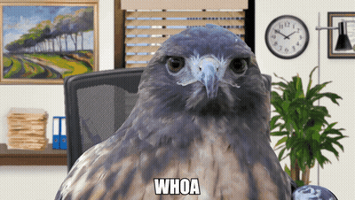 A Hawk Sits In A Chair In Front Of A Clock With The Word Whoa On It GIF