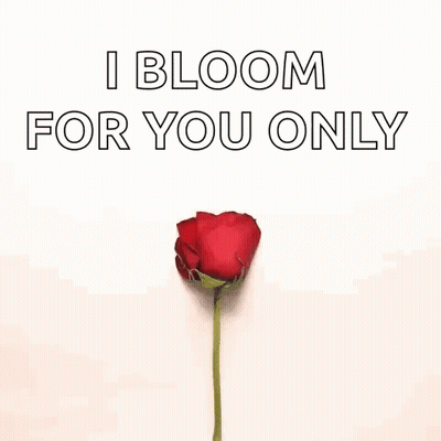 A Heart Made Out Of Rose Petals With The Words `` I Bloom For You Only '' Written On It . GIF