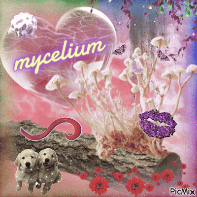 A Heart Shaped Balloon With The Word Mycelium Written On It GIF