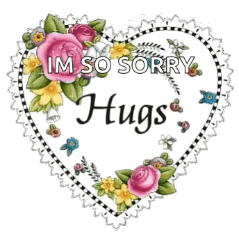 A Heart Shaped Frame With Flowers And The Words `` Im So Sorry Hugs '' . GIF