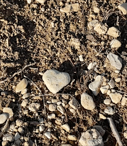 A Heart Shaped Rock Is Laying On The Ground GIF