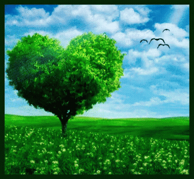 A Heart Shaped Tree In The Middle Of A Field GIF