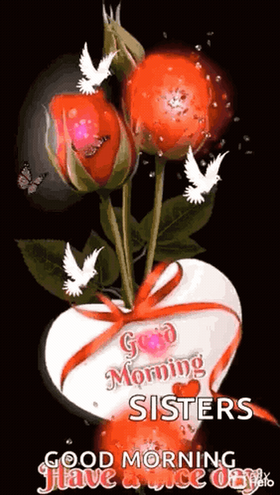 A Heart Shaped Vase Filled With Red Roses And White Doves With The Words `` Good Morning Sisters `` Written On It . GIF