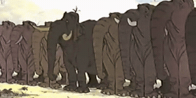 A Herd Of Elephants Standing Next To Each Other On A Dirt Field . GIF