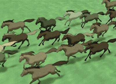 A Herd Of Horses Running In A Field GIF