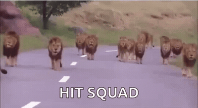 A Herd Of Lions Are Walking Down A Road With The Words `` Hit Squad '' Written On The Bottom . GIF