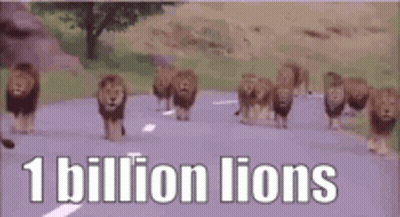 A Herd Of Lions Walking Down A Road With The Words `` 1 Billion Lions '' Above Them . GIF