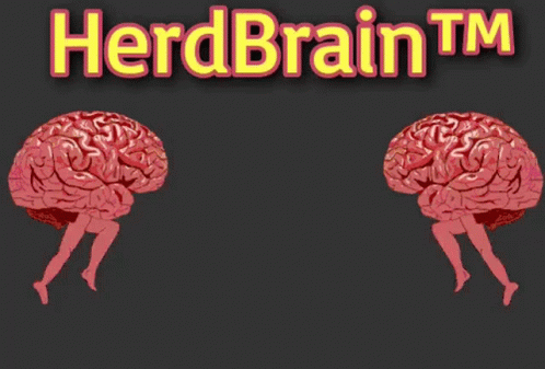 A Herdbrain Tm Logo With Two Brains On A Black Background GIF