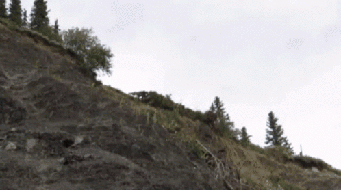 A Hillside With Trees On It And A Cloudy Sky In The Background GIF
