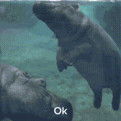 A Hippopotamus Is Standing On A Rock In The Water With The Words Ok Below It GIF