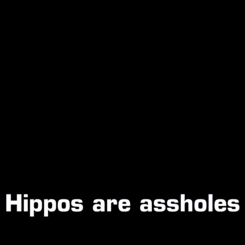 A Hippopotamus Is Swimming In The Water With The Words Hippos Are Assholes Below It GIF