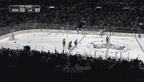 A Hockey Game Between The Nash And La Teams Is Being Played GIF