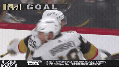 A Hockey Game Is Being Played And A Goal Is Being Displayed GIF