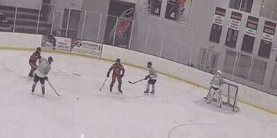 A Hockey Game Is Being Played In A Stadium With A Coca Cola Ad On The Walls GIF