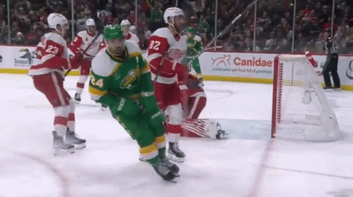 A Hockey Game Is Being Played In Front Of A Canidae Advertisement GIF