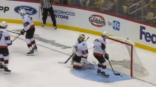 A Hockey Game Is Being Played In Front Of A Glidden By Ppg Banner GIF