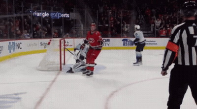 A Hockey Game Is Being Played In Front Of A Triangle Experts Banner GIF