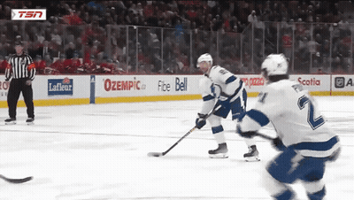 A Hockey Game Is Being Played In Front Of A Tsn Advertisement GIF