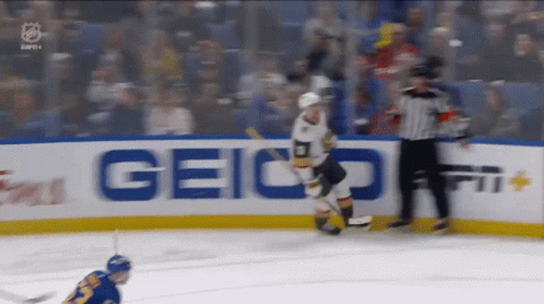 A Hockey Game Is Being Played In Front Of An Ad For Geico GIF