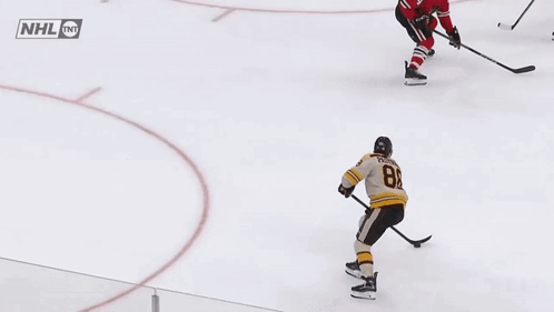A Hockey Game Is Being Played In Front Of Jetblue Geico And Coca Cola Advertisements GIF