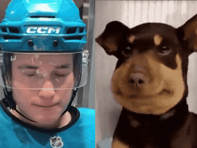 A Hockey Player Wearing A Helmet That Says Ccm Next To A Dog GIF