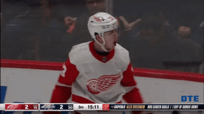 A Hockey Player With The Number 3 On His Jersey Celebrates A Goal GIF