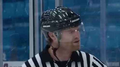 A Hockey Referee Wearing A Helmet And A Striped Shirt Is Standing In Front Of A Glass Door . GIF